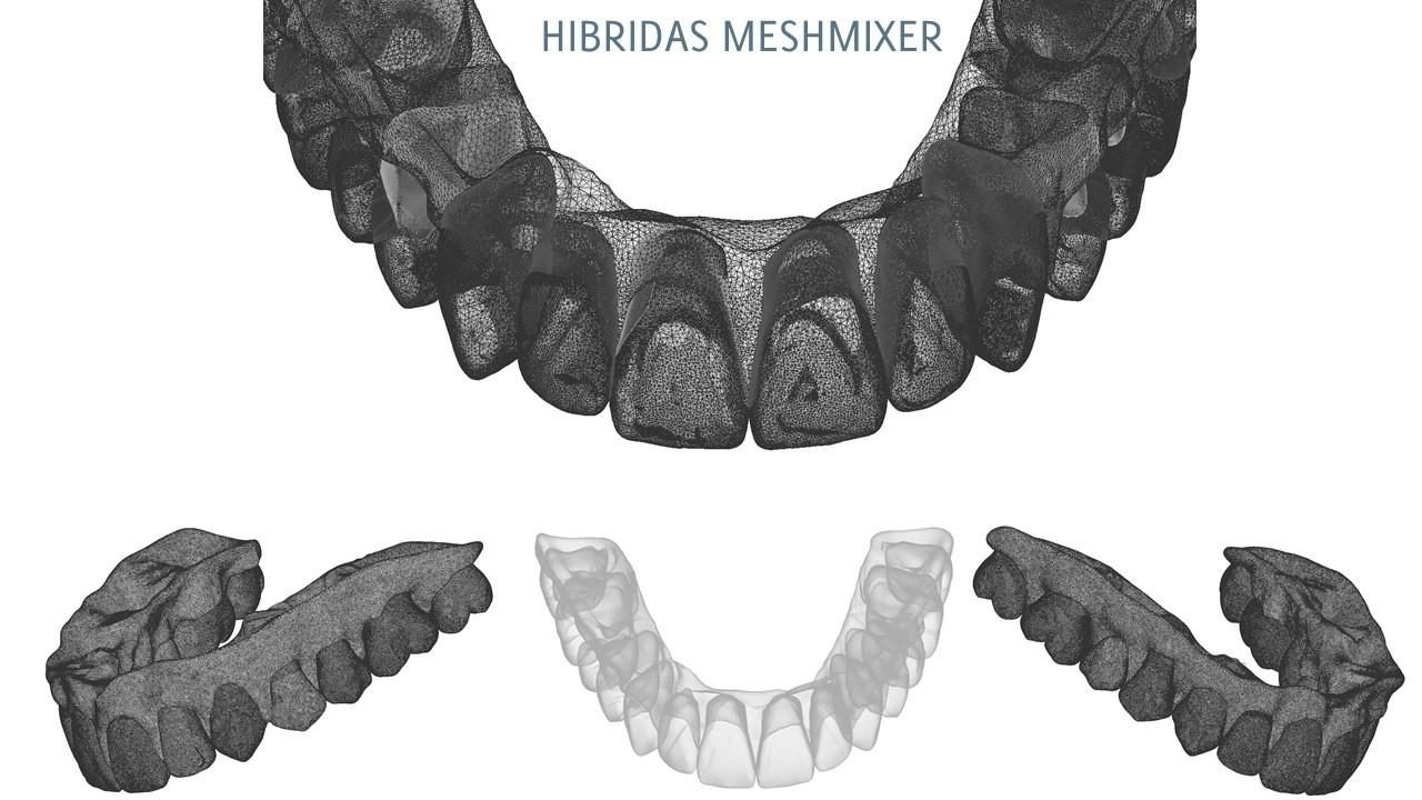 meshmixerdental_gallery (10)